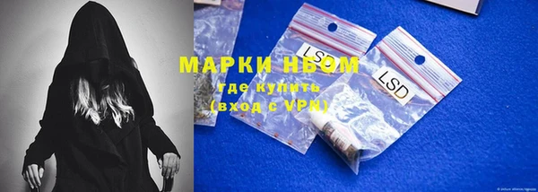 прущие грибы Алексин