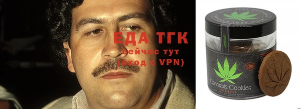 ECSTASY Алзамай