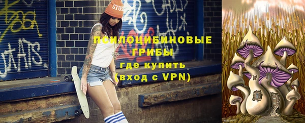 прущие грибы Алексин