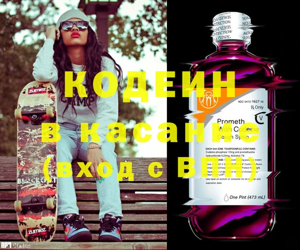 ECSTASY Алзамай