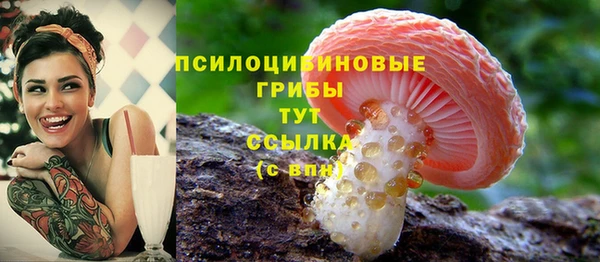 прущие грибы Алексин