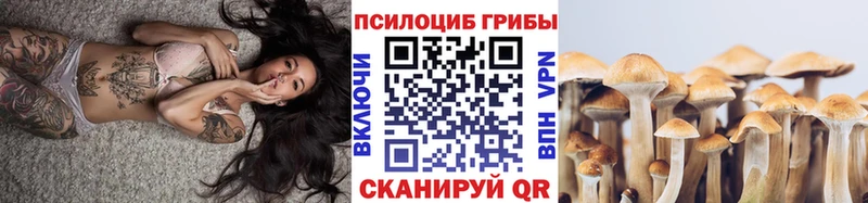 Псилоцибиновые грибы MAGIC MUSHROOMS Жирновск